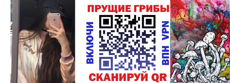 Псилоцибиновые грибы Magic Shrooms  blacksprut   Королёв 