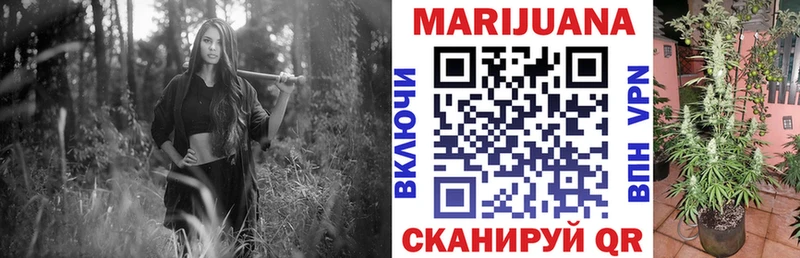 Конопля конопля  omg как зайти  Королёв 